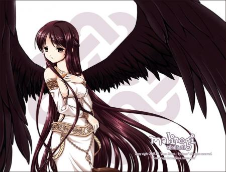 blAcK _wiNgS