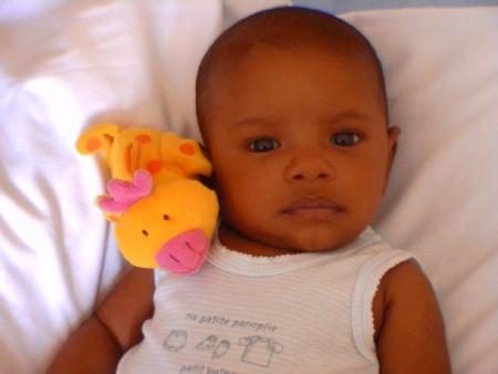 abdel