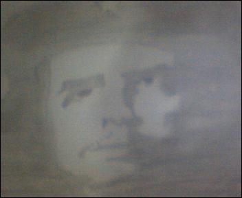 che guevara